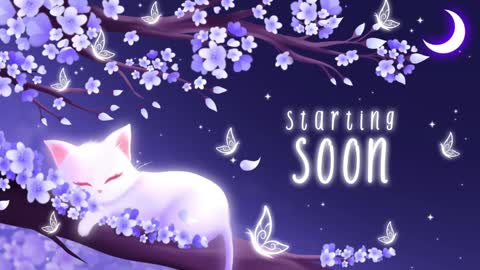 Snapshot of sassykittyn chatting on January 20, 2025, 6:21 am Sassy Sami Kittyn online show from January 20, 2025, 6:21 am