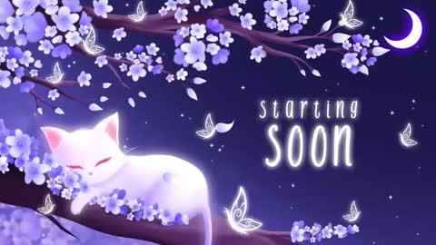 Snapshot of sassykittyn chatting on February 17, 2025, 5:47 am Sassy Sami Kittyn online show from February 17, 2025, 5:47 am