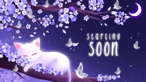 Snapshot of sassykittyn chatting on March 10, 2025, 5:11 am Sassy Sami Kittyn online show from March 10, 2025, 5:11 am