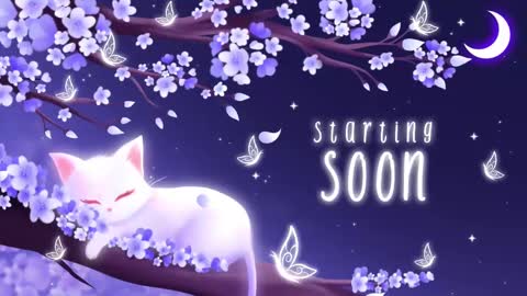 Snapshot of sassykittyn chatting on March 11, 2025, 5:05 am Sassy Sami Kittyn online show from March 11, 2025, 5:05 am