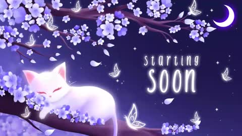 Snapshot of sassykittyn chatting on September 22, 2025, 5:31 am Sassy Sami Kittyn online show from September 22, 2025, 5:31 am