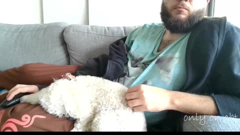 Snapshot of saucybonjo chatting on December 11, 2024, 10:16 pm Ben online show from December 11, 2024, 10:16 pm