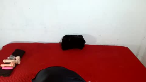 Scarletfox Fox online show from February 11, 2026, 5:12 am