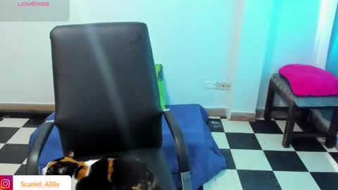 Scarlett online show from March 19, 2026, 8:57 pm