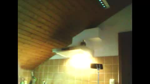 schnibschnab online show from February 26, 2026, 2:54 am