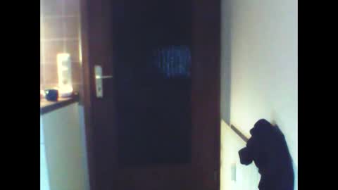 schnibschnab online show from February 27, 2026, 2:11 am