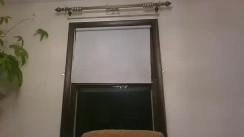 scottpbi52 online show from December 31, 2024, 7:31 am