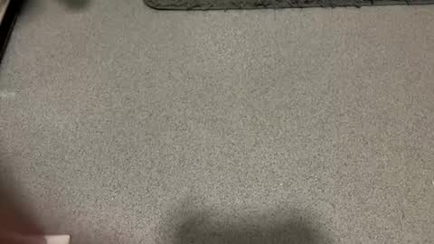 scottyc48 online show from December 1, 2025, 2:11 pm