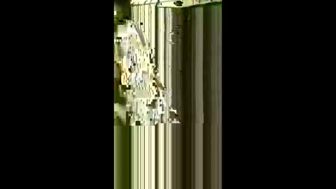 scoutiii online show from May 1, 2026, 7:57 am