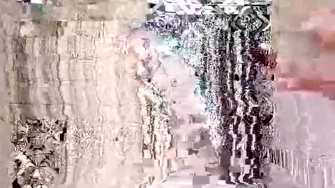 seb97400 online show from April 20, 2026, 8:28 am