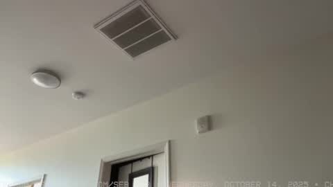 Sebastian online show from October 15, 2025, 6:08 pm