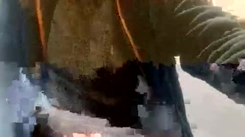 Snapshot of sebtin1979 chatting on February 23, 2026, 2:36 pm sebtin1979 online show from February 23, 2026, 2:36 pm