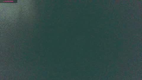 Snapshot of secret18slaveanon chatting on December 14, 2024, 8:56 am Sunny online show from December 14, 2024, 8:56 am