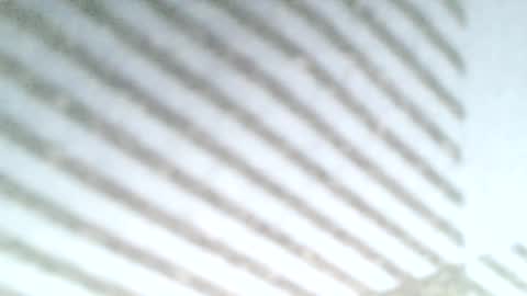 Snapshot of secret18slaveanon chatting on March 6, 2025, 11:53 pm Sunny online show from March 6, 2025, 11:53 pm