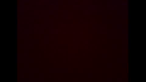 seekingwhatslost online show from February 1, 2026, 4:33 am