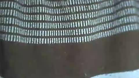 selim selim online show from November 14, 2025, 10:18 pm