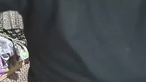 selim selim online show from April 5, 2026, 10:40 pm