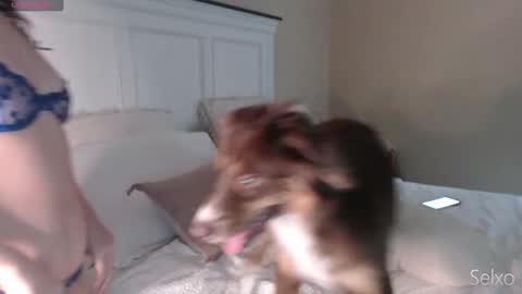 Sel online show from September 23, 2025, 1:03 pm