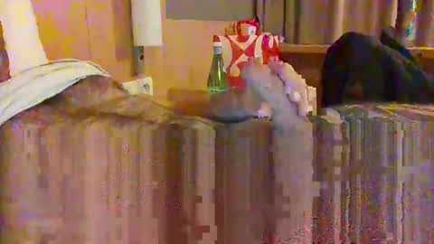 serialfucka69 online show from October 27, 2025, 6:56 pm