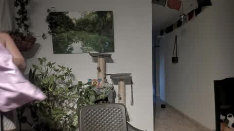         online show from April 10, 2026, 11:04 am