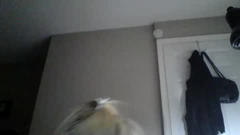 sexxiibossbabe online show from December 19, 2025, 7:32 pm