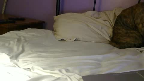 sexxxylibra10 online show from April 25, 2026, 7:55 pm