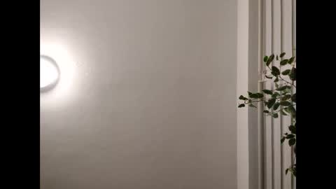 sexy30031986 online show from November 23, 2025, 9:14 pm