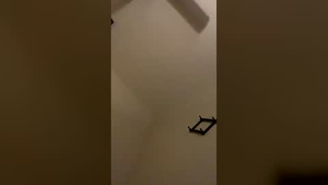 sexy4309 online show from April 17, 2026, 3:53 am