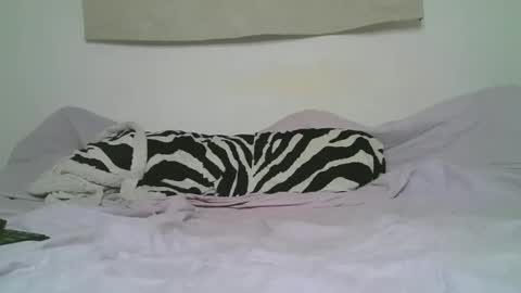 Ithan  Joel online show from November 29, 2025, 7:50 pm