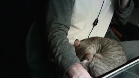 sexyenigmatic online show from April 14, 2026, 11:55 pm