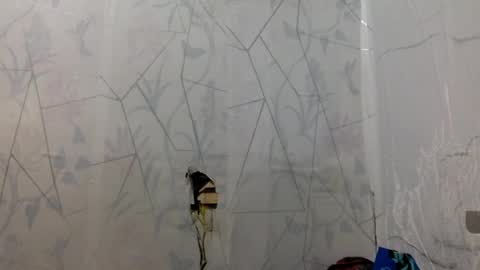 miss jade so online show from April 15, 2026, 11:50 am