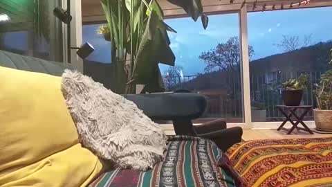 Snapshot of sexylover81ch chatting on April 12, 2026, 6:13 pm sexylover81ch online show from April 12, 2026, 6:13 pm