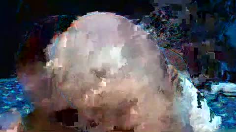 Natalie sweet online show from April 25, 2026, 1:52 pm