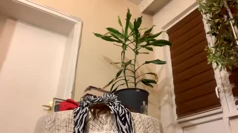 Anya online show from January 22, 2025, 8:17 pm