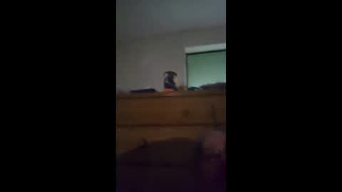 sgtbrown01 online show from April 23, 2026, 12:40 pm