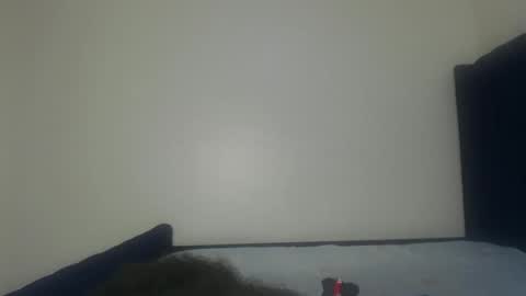 Shadow online show from November 29, 2025, 1:25 pm