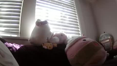 Snapshot of shampooprincess001 chatting on March 21, 2026, 8:12 pm shampooprincess001 online show from March 21, 2026, 8:12 pm
