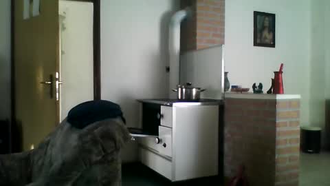 excelo21 online show from December 22, 2024, 9:44 am