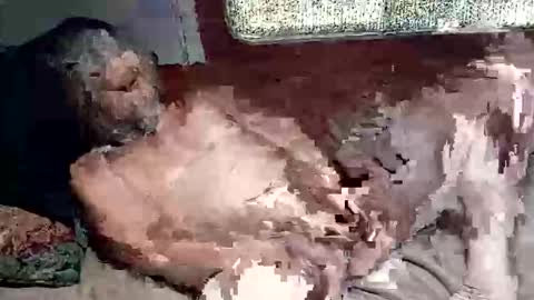 Snapshot of sharoc666 chatting on March 4, 2026, 2:45 pm Shamroc online show from March 4, 2026, 2:45 pm