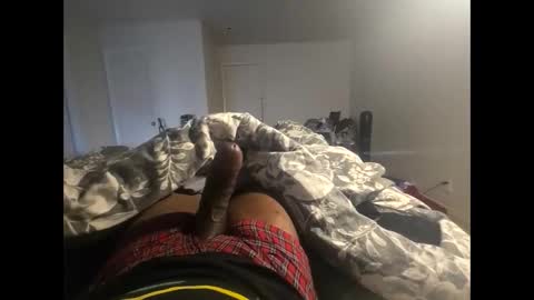 shatnerded online show from January 21, 2025, 11:13 pm