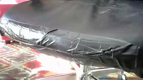 shavedassballs online show from October 31, 2025, 3:13 pm