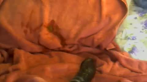 sherbearxrayghost online show from April 7, 2026, 3:23 pm