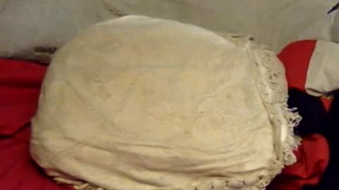 sherbearxrayghost online show from June 15, 2026, 1:57 pm