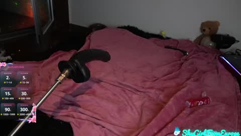 Snapshot of shygirlfromeurope chatting on January 31, 2025, 12:28 am Vivian  online show from January 31, 2025, 12:28 am