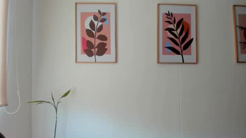 shylittlebunny online show from February 11, 2026, 2:33 pm