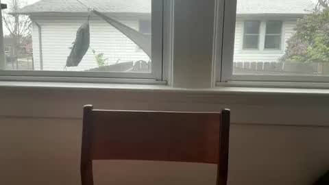 Snapshot of sie273 chatting on April 11, 2026, 6:45 pm sie273 online show from April 11, 2026, 6:45 pm