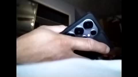 sil15nissan online show from March 25, 2026, 7:14 am