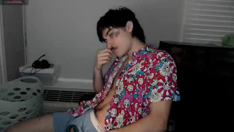 Snapshot of silly_cybin chatting on January 12, 2025, 12:55 pm cybin online show from January 12, 2025, 12:55 pm