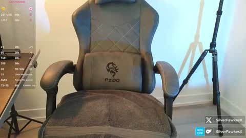 silverfawkesx online show from March 22, 2026, 2:53 pm