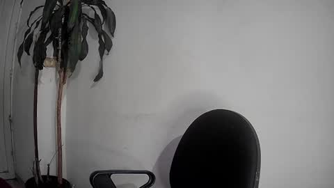 Snapshot of silviecollins chatting on December 2, 2024, 12:52 am Silvie online show from December 2, 2024, 12:52 am